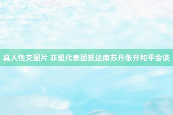 真人性交图片 非盟代表团抵达南苏丹张开和平会谈
