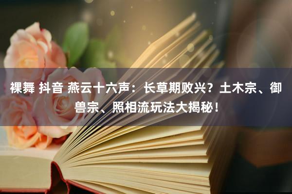裸舞 抖音 燕云十六声：长草期败兴？土木宗、御兽宗、照相流玩法大揭秘！