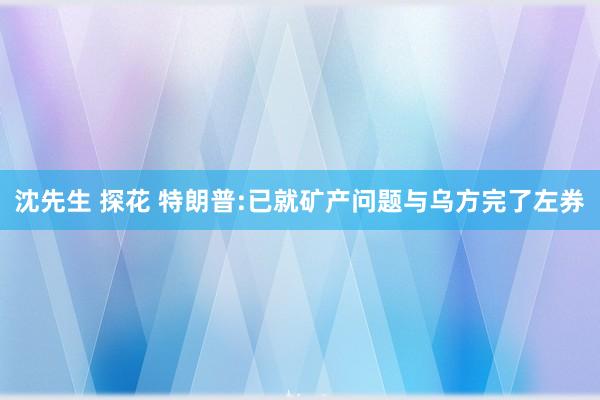 沈先生 探花 特朗普:已就矿产问题与乌方完了左券