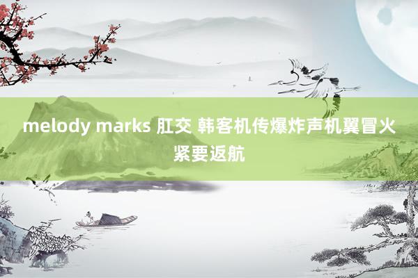 melody marks 肛交 韩客机传爆炸声机翼冒火紧要返航