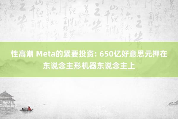 性高潮 Meta的紧要投资: 650亿好意思元押在东说念主形机器东说念主上