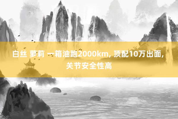 白丝 萝莉 一箱油跑2000km, 顶配10万出面, 关节安全性高