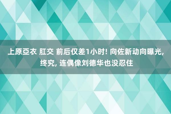 上原亞衣 肛交 前后仅差1小时! 向佐新动向曝光， 终究， 连偶像刘德华也没忍住