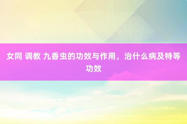 女同 调教 九香虫的功效与作用，治什么病及特等功效