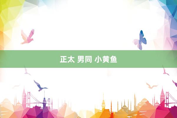正太 男同 小黄鱼